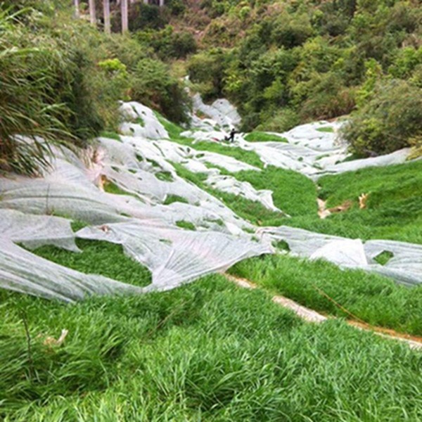 鐵嶺市植被噴播機鑄造輝煌