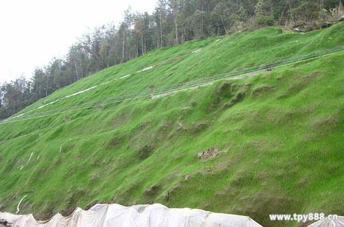 重慶HF客土噴播機(jī)銷售熱線