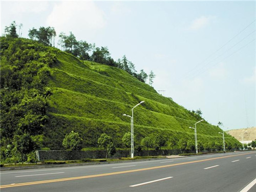 巴中城市道路邊坡綠化施工單位用資材介紹(圖2)