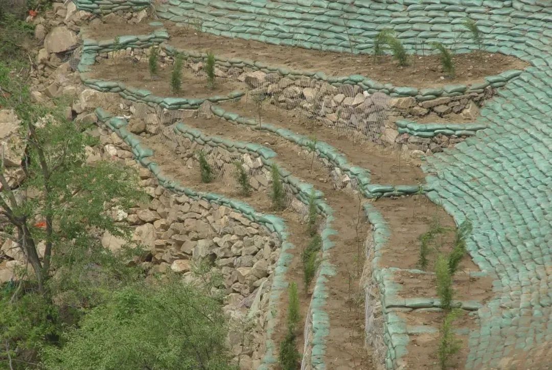 綠色礦山建設中生態修復技術集成