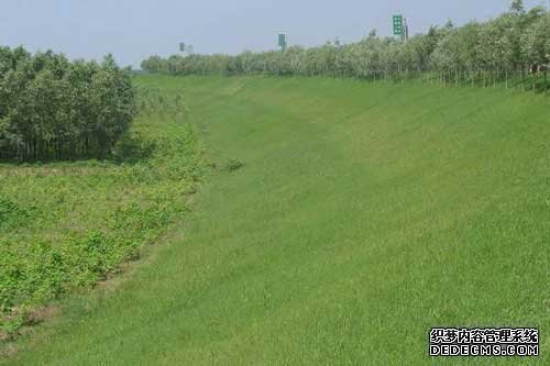 護坡植草