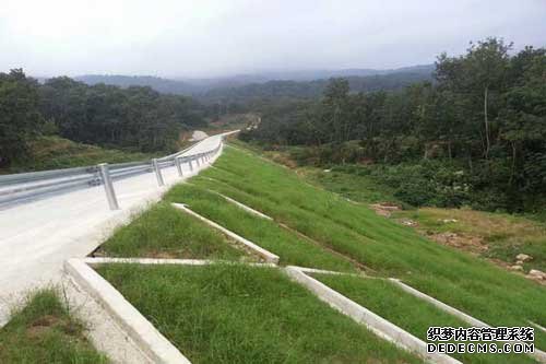 公路路基邊坡適合噴播什么草種(圖1)